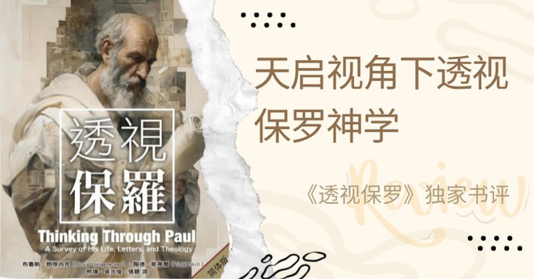 透视保罗：他的生平、书信和神学